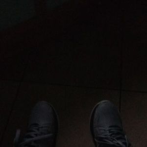 Meet your Posher, Albert